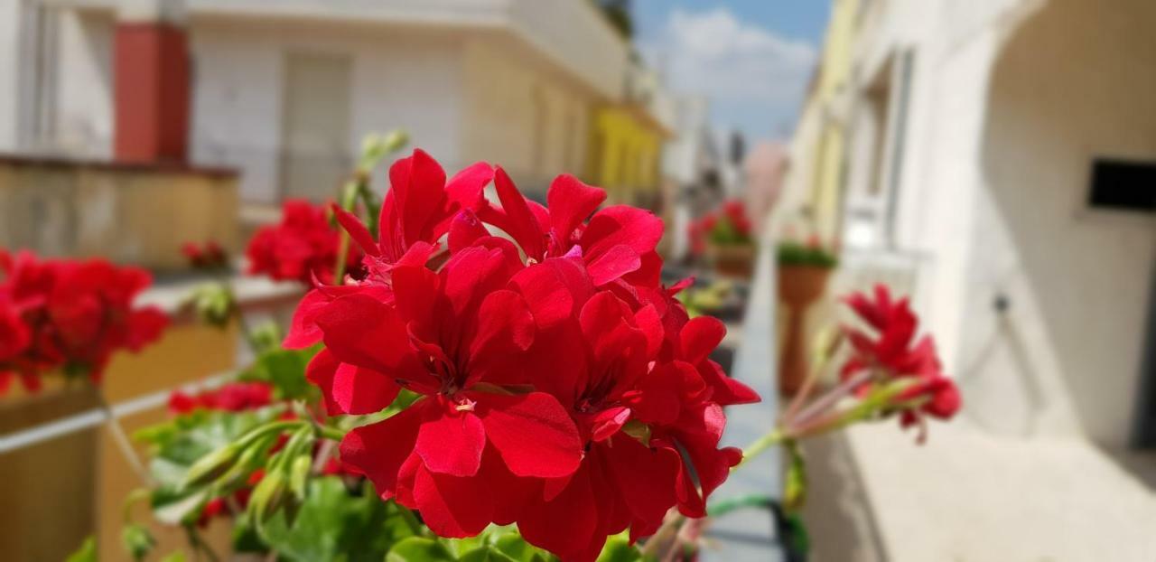 Cupersanum B&B Конверсано Экстерьер фото